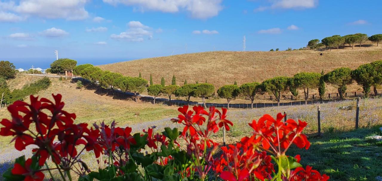 Hotel Tenuta Dell'Argento Resort Civitavecchia Ngoại thất bức ảnh